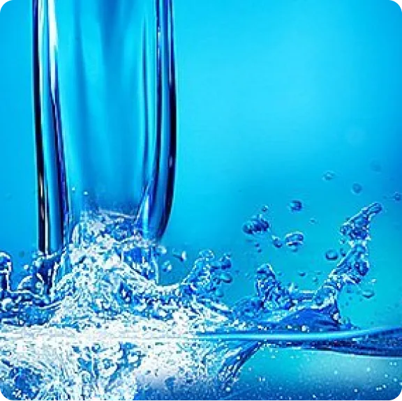 Ukon grown in Okinawa Japan